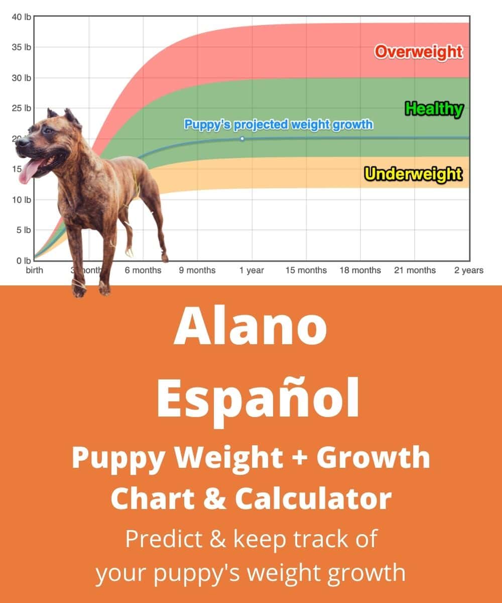 alano-espanol Puppy Weight Growth Chart alano-espanol Puppy Weight Growth Chart